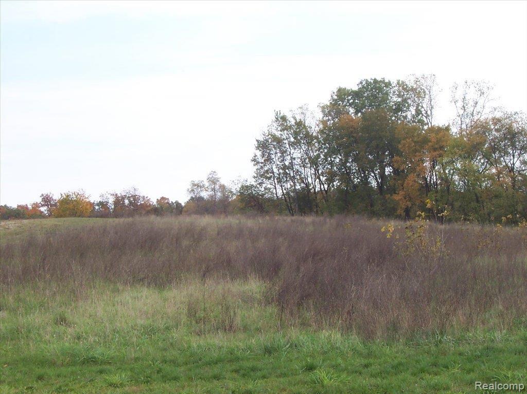 Unit12 Iosco Ridge Drive Gregory, MI 48137 - Photo 1 of 1