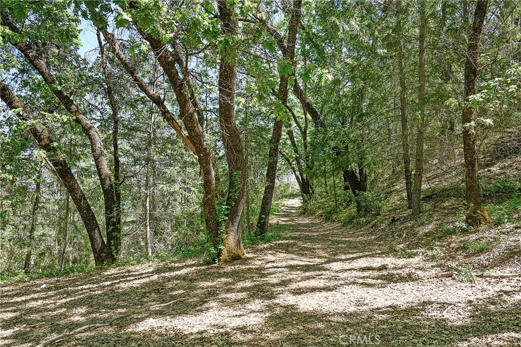 19665 Oat Hill Road Middletown, CA 95461 - Photo 36 of 44 Land