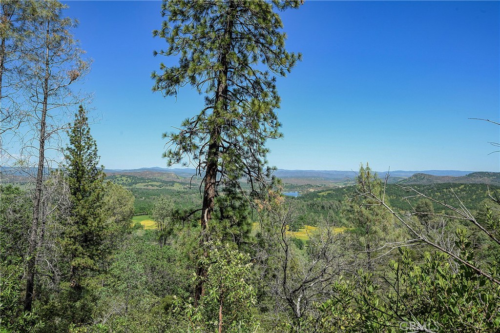 19665 Oat Hill Road Middletown, CA 95461 - Photo 37 of 44 Land
