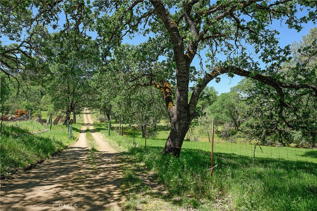 19665 Oat Hill Road Middletown, CA 95461 - Photo 38 of 44 Driveway