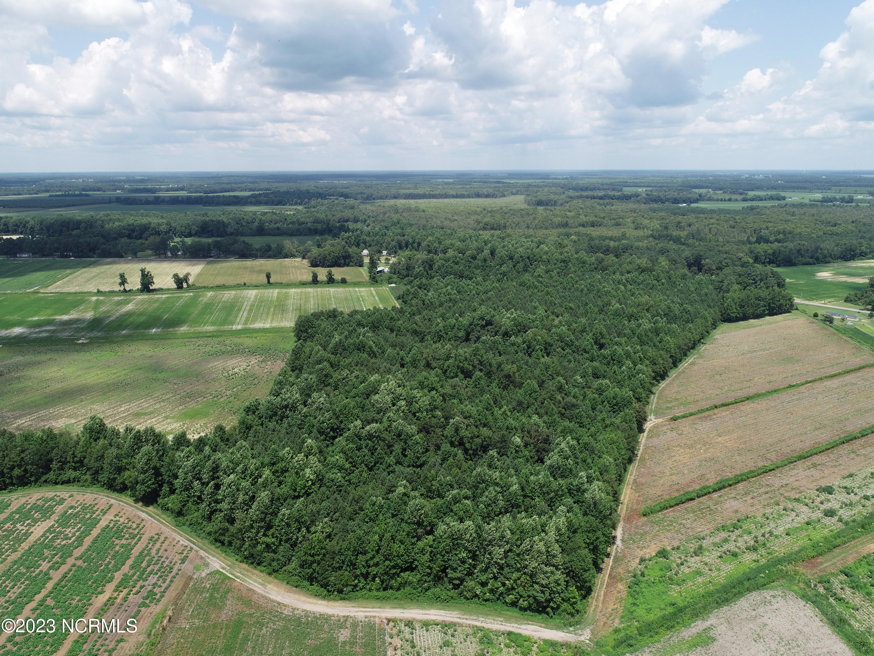 0 Belvidere Road Belvidere, NC 27919 - Photo 6 of 7 Farm10