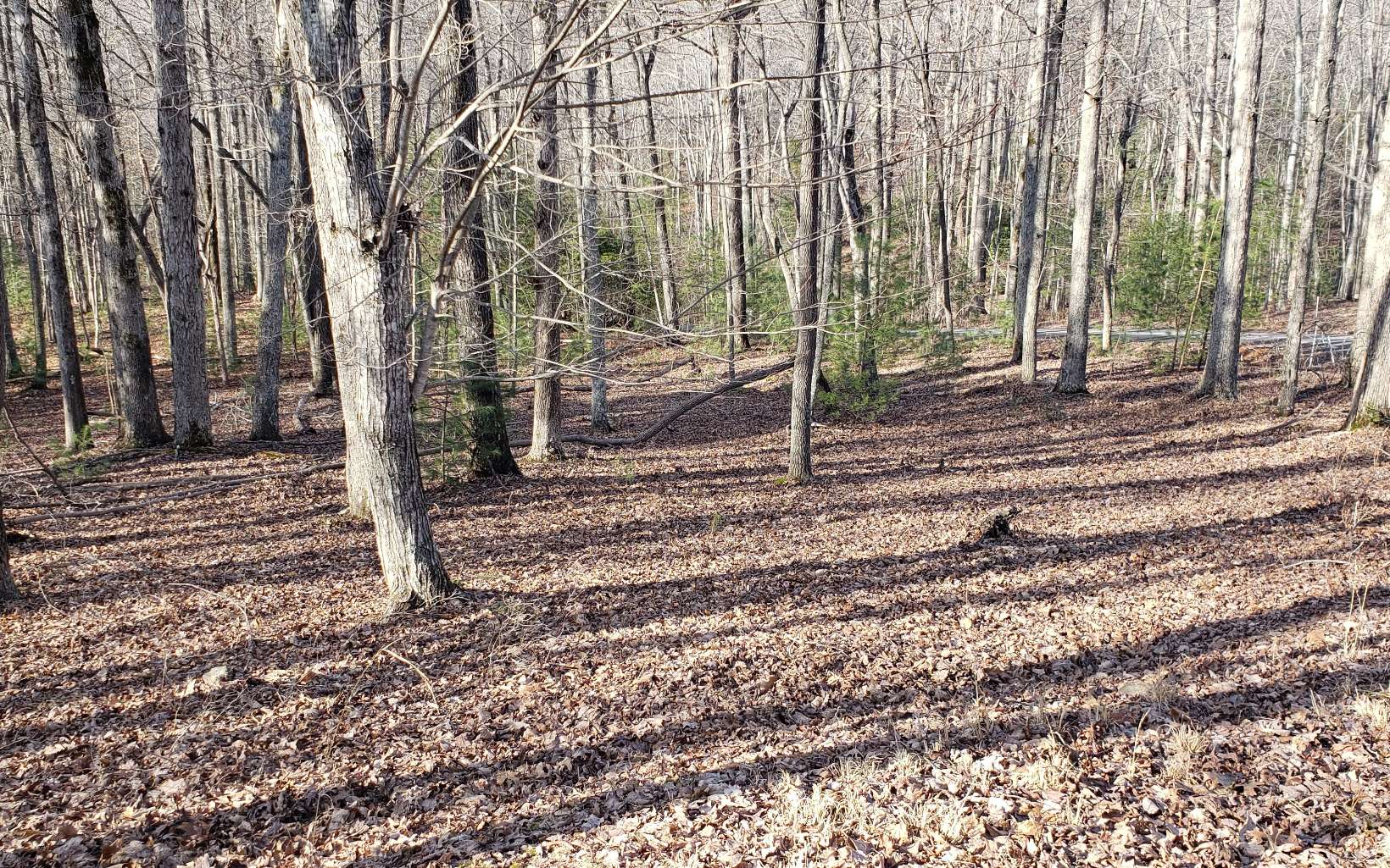 Lt24 Lt24 Turkey Scratch Road Morganton, GA 30560 - Photo 10 of 10 Additional View