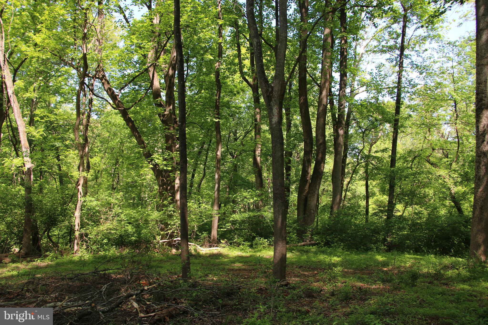Harpers Ferry Road Purcellville, VA 20132 - Photo 17 of 21 Gallery Image 17