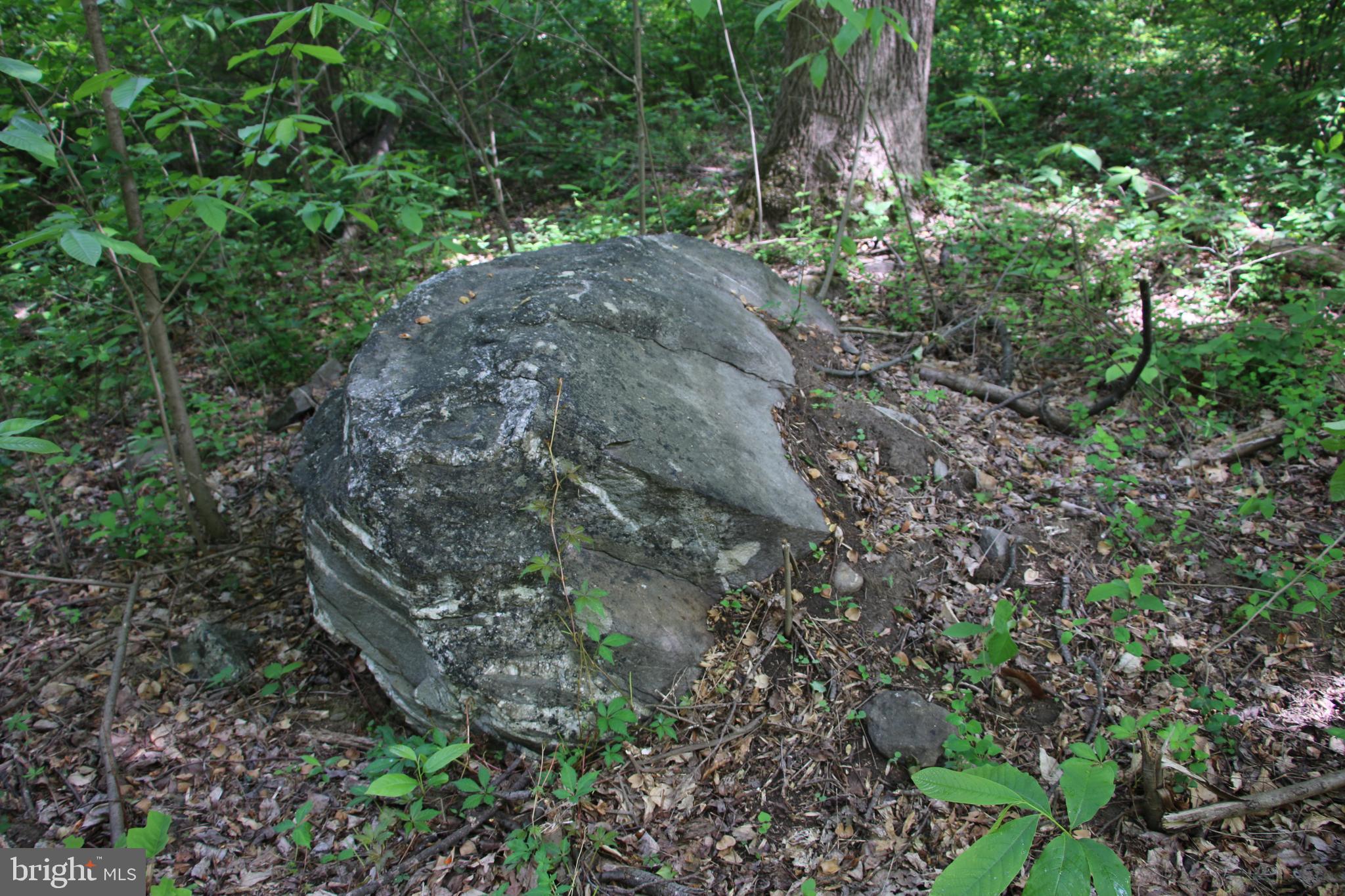 Harpers Ferry Road Purcellville, VA 20132 - Photo 18 of 21 Gallery Image 18