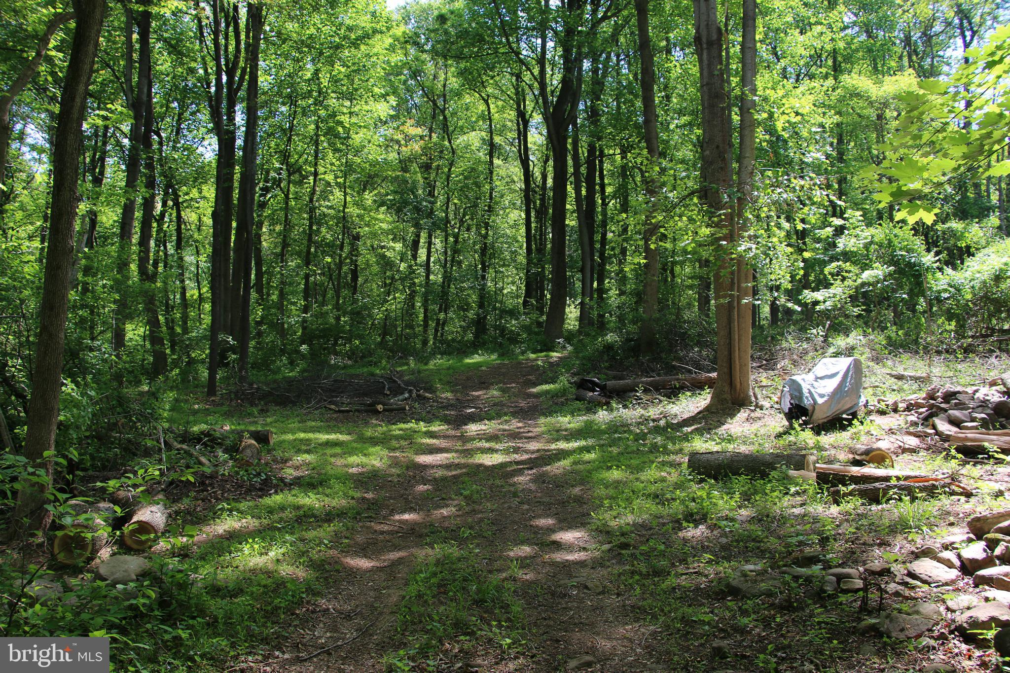 Harpers Ferry Road Purcellville, VA 20132 - Photo 3 of 21 Gallery Image 3
