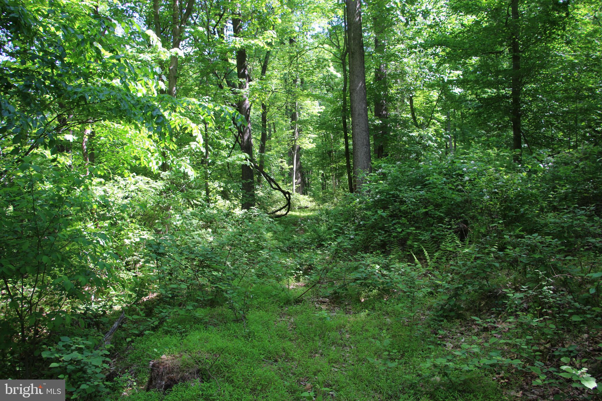 Harpers Ferry Road Purcellville, VA 20132 - Photo 8 of 21 Gallery Image 8