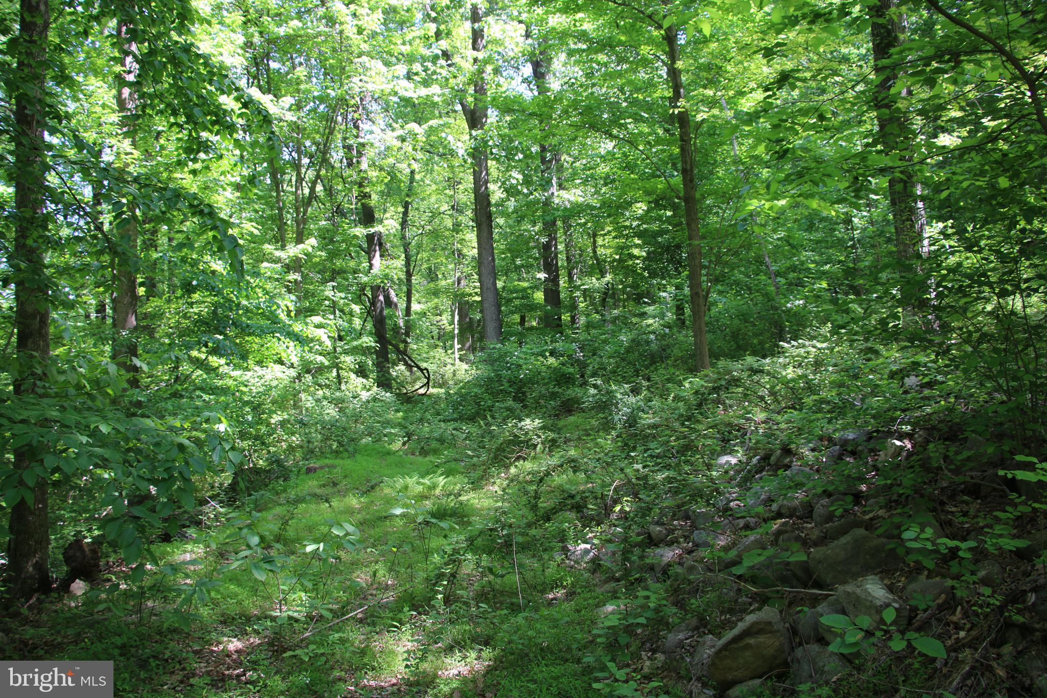 Harpers Ferry Road Purcellville, VA 20132 - Photo 9 of 21 Gallery Image 9