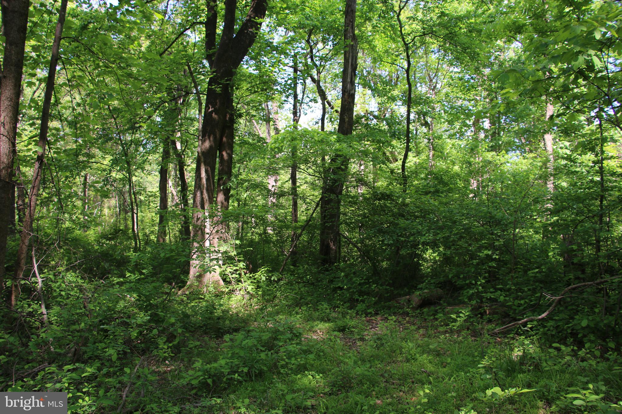 Harpers Ferry Road Purcellville, VA 20132 - Photo 10 of 21 Gallery Image 10