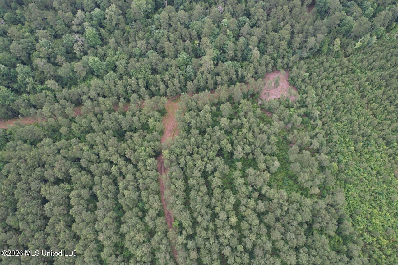 6643 Grange Hall Road Osyka, MS 39657 - Photo 35 of 39 DJI_0149 Large
