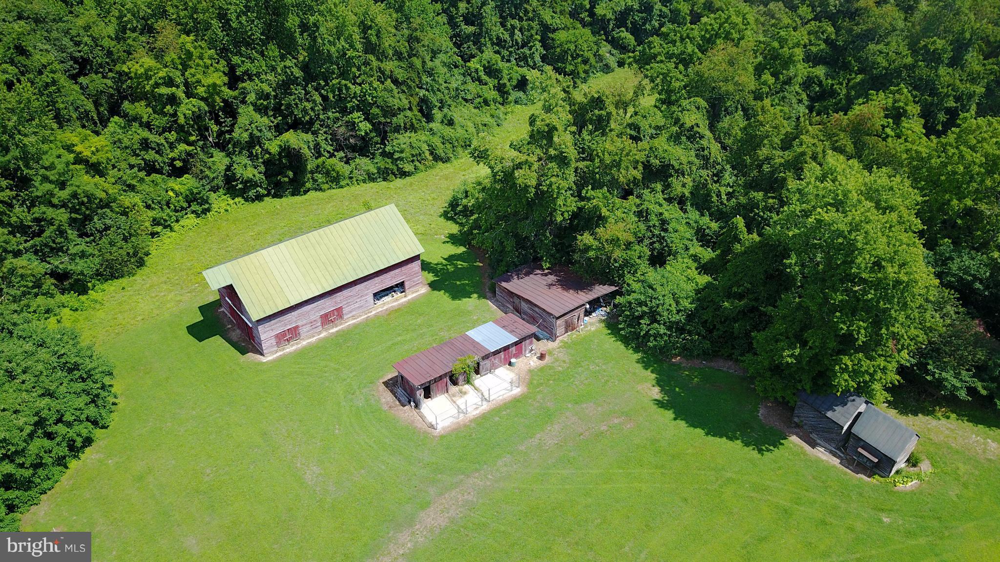 24143 Sparta Road Bowling Green, VA 22427 - Photo 15 of 24 Barn and Out Buildings
