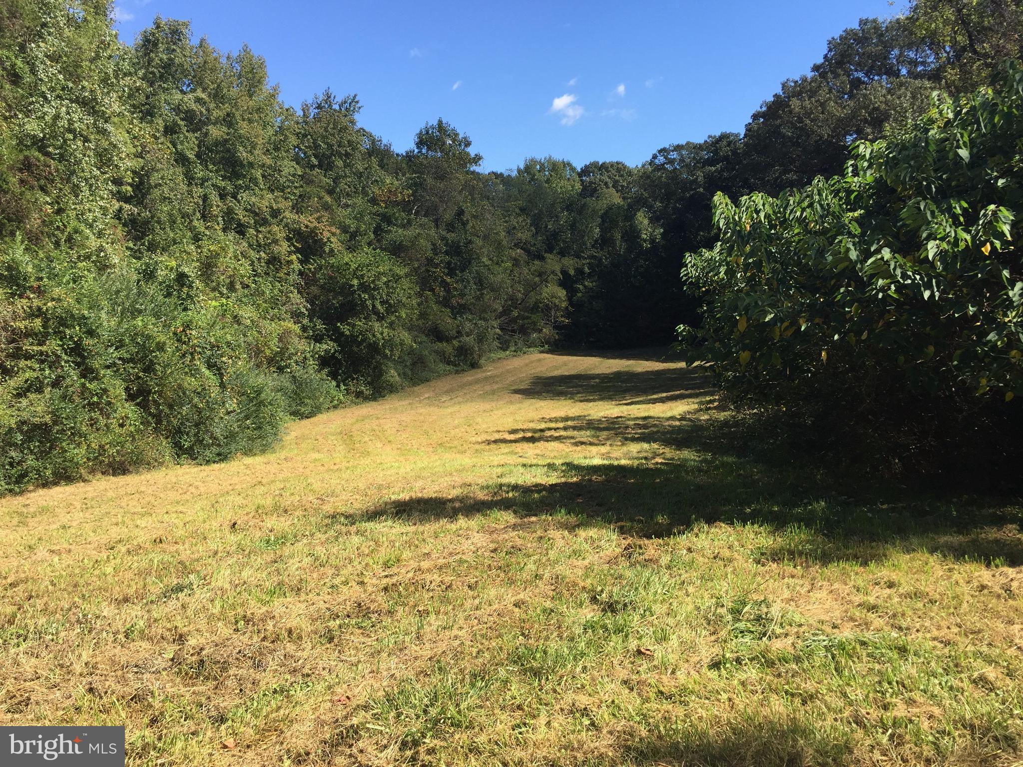 24143 Sparta Road Bowling Green, VA 22427 - Photo 22 of 24 Back field