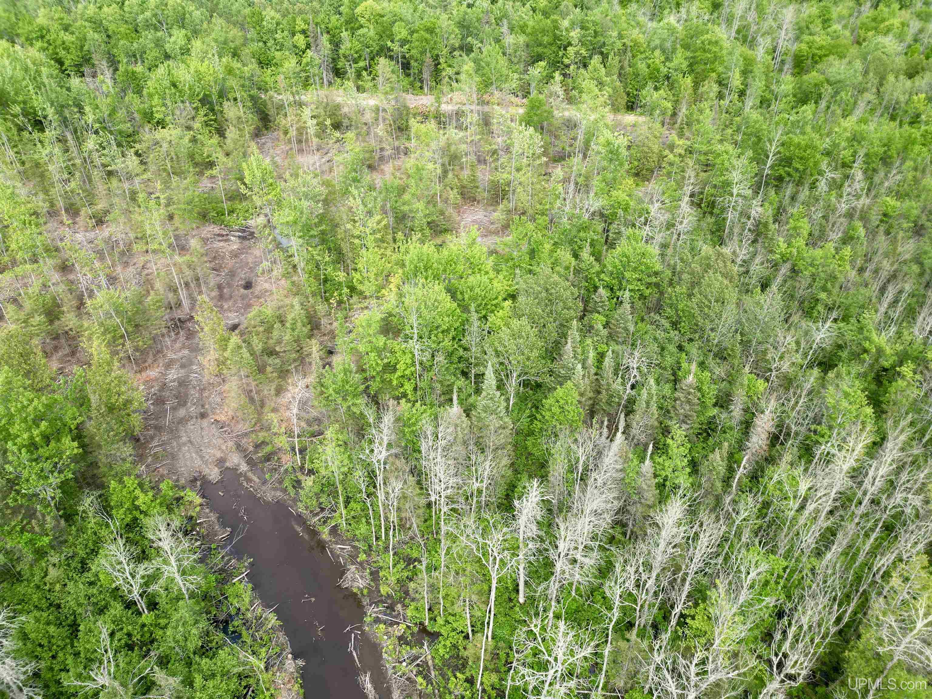 3601 Cr444 Road Rock, MI 49880 - Photo 67 of 78