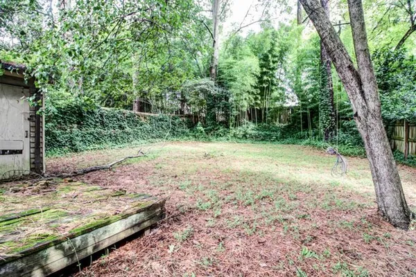 a view of a trees with a yard