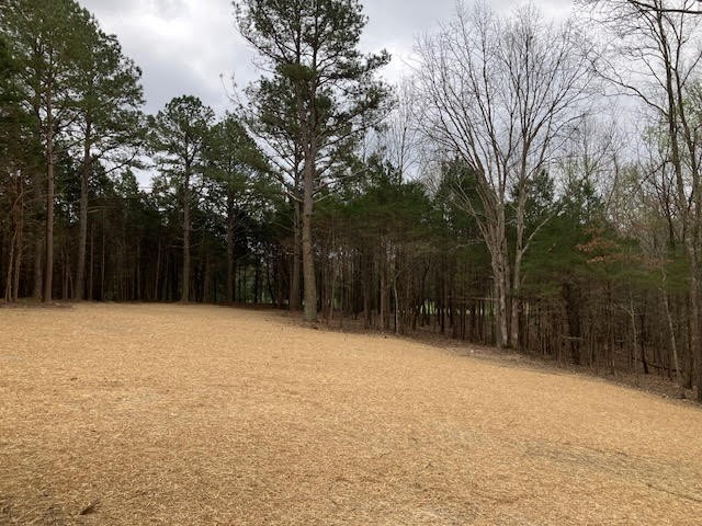 5 Daugherty-Capley Road Primm Springs, TN 38476 - Photo 2 of 6 a backyard of a house