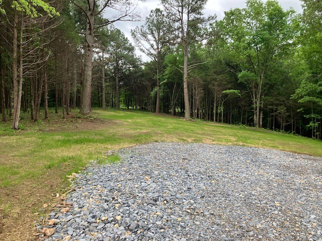 5 Daugherty-Capley Road Primm Springs, TN 38476 - Photo 5 of 6 a view of a park with large trees