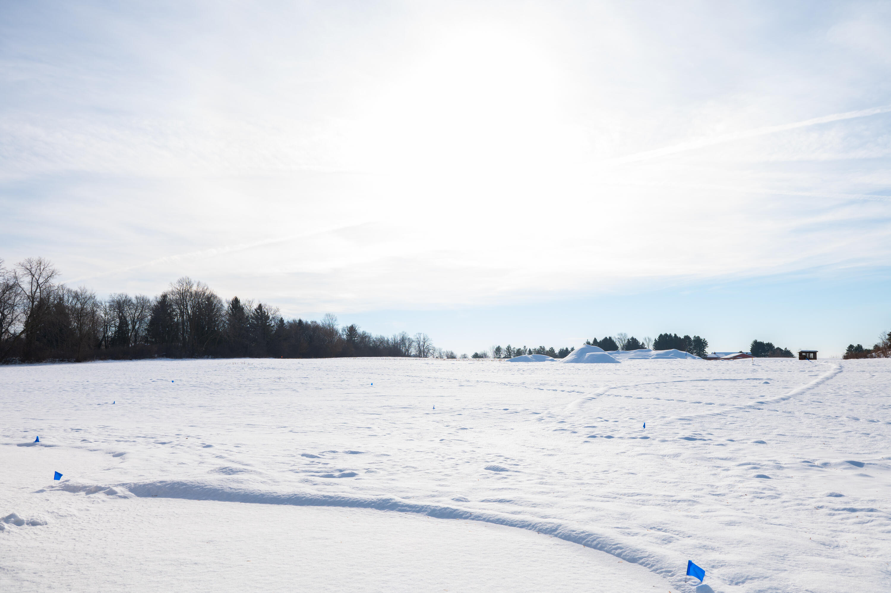 1829 West Mill Road Jackson, WI 53037 - Photo 53 of 57 Mill Road Backyard