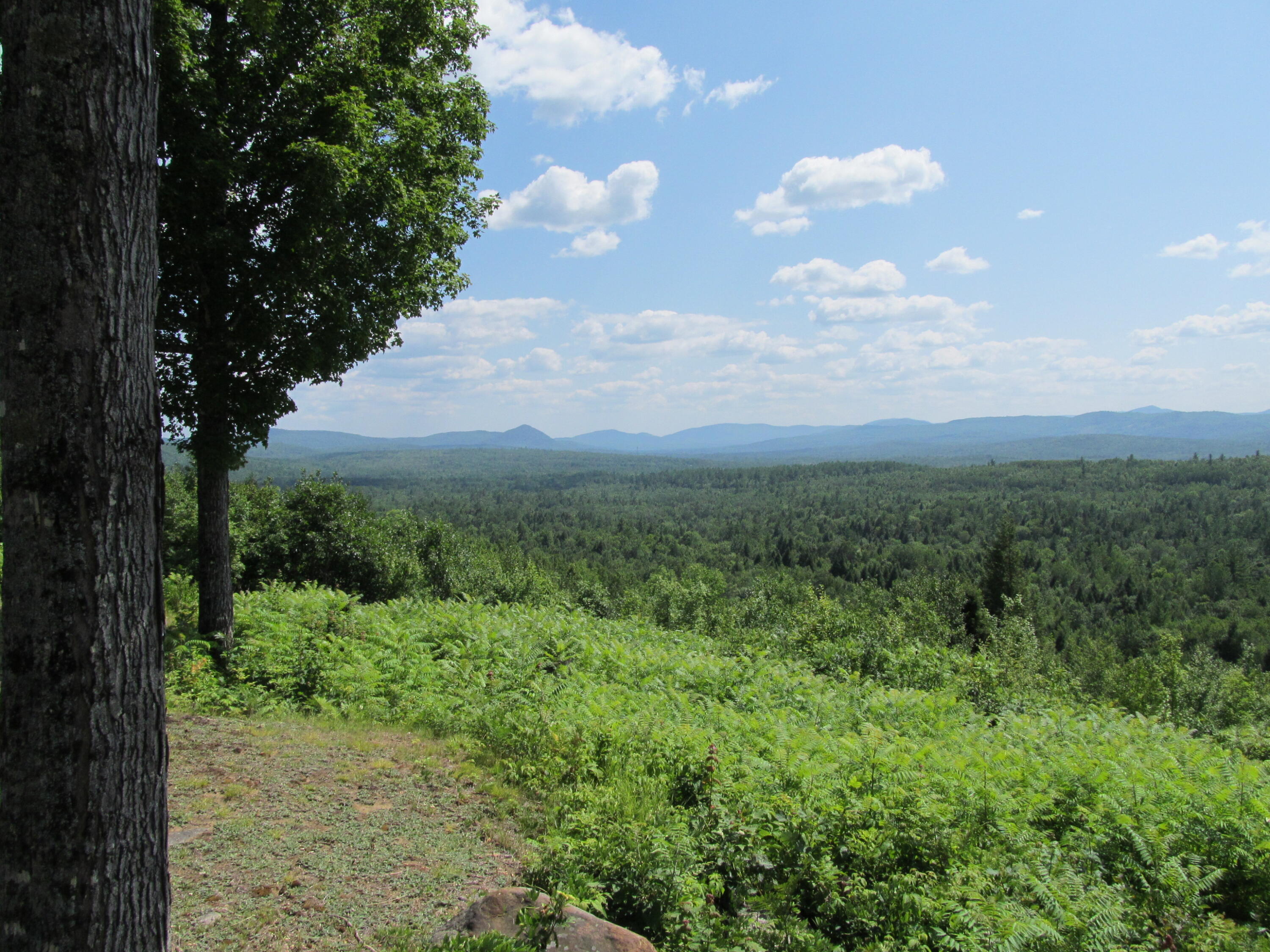 1245 West Side Road Weld, ME 04285 - Photo 13 of 83 IMG_1336