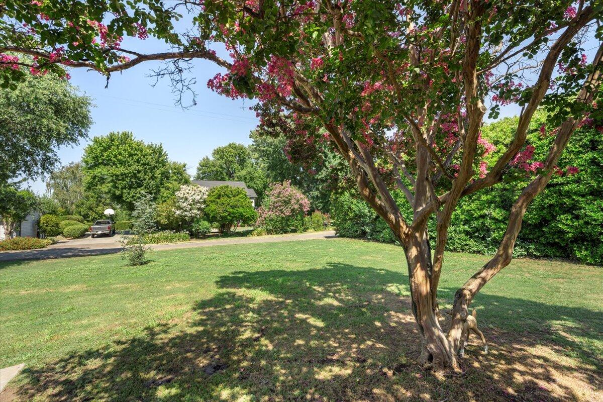 12325 Craig Avenue Red Bluff, CA 96080 - Photo 42 of 68 a view of field with trees in the background