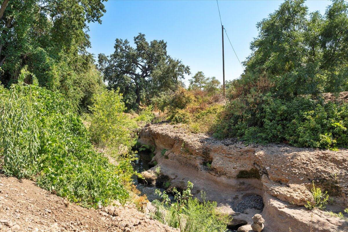 12325 Craig Avenue Red Bluff, CA 96080 - Photo 61 of 68 a backyard of a house with lots of green space