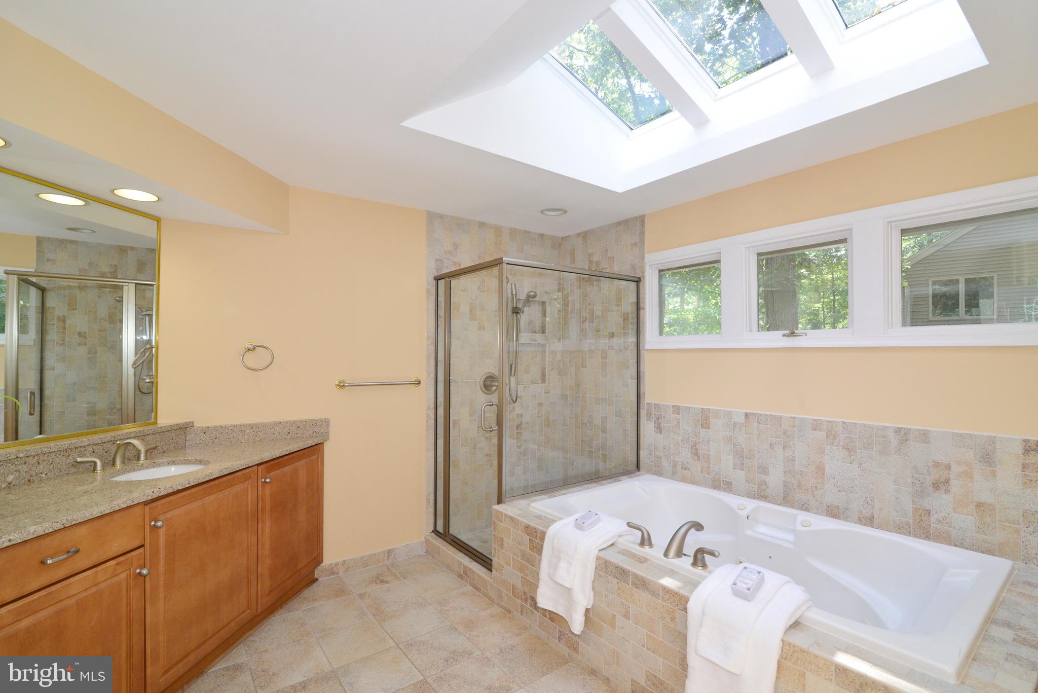 1700 Besley Road Vienna, VA 22182 - Photo 24 of 53 Master bathroom w/ soaking tub & sky lights