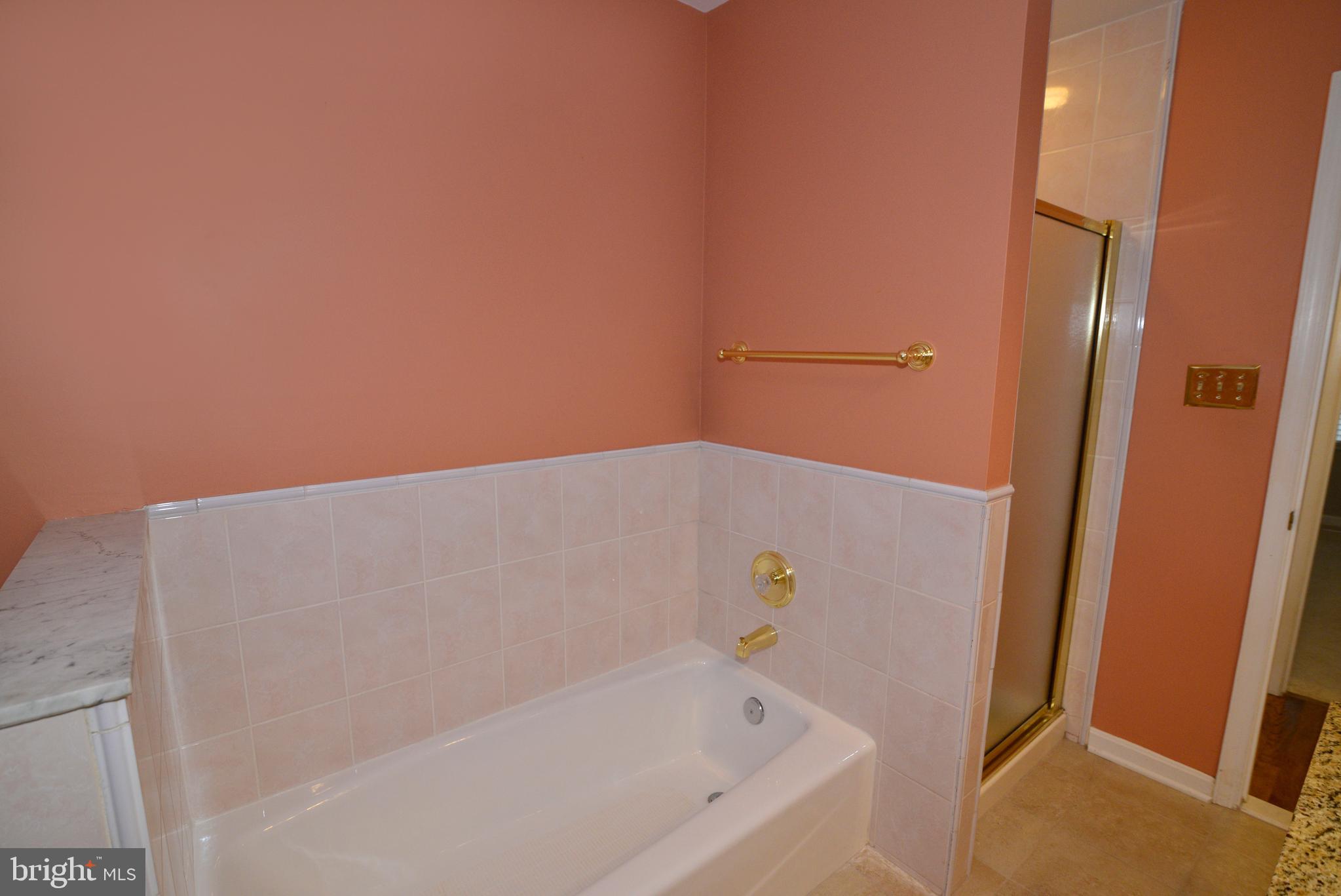 1700 Besley Road Vienna, VA 22182 - Photo 32 of 53 Hall Bathroom