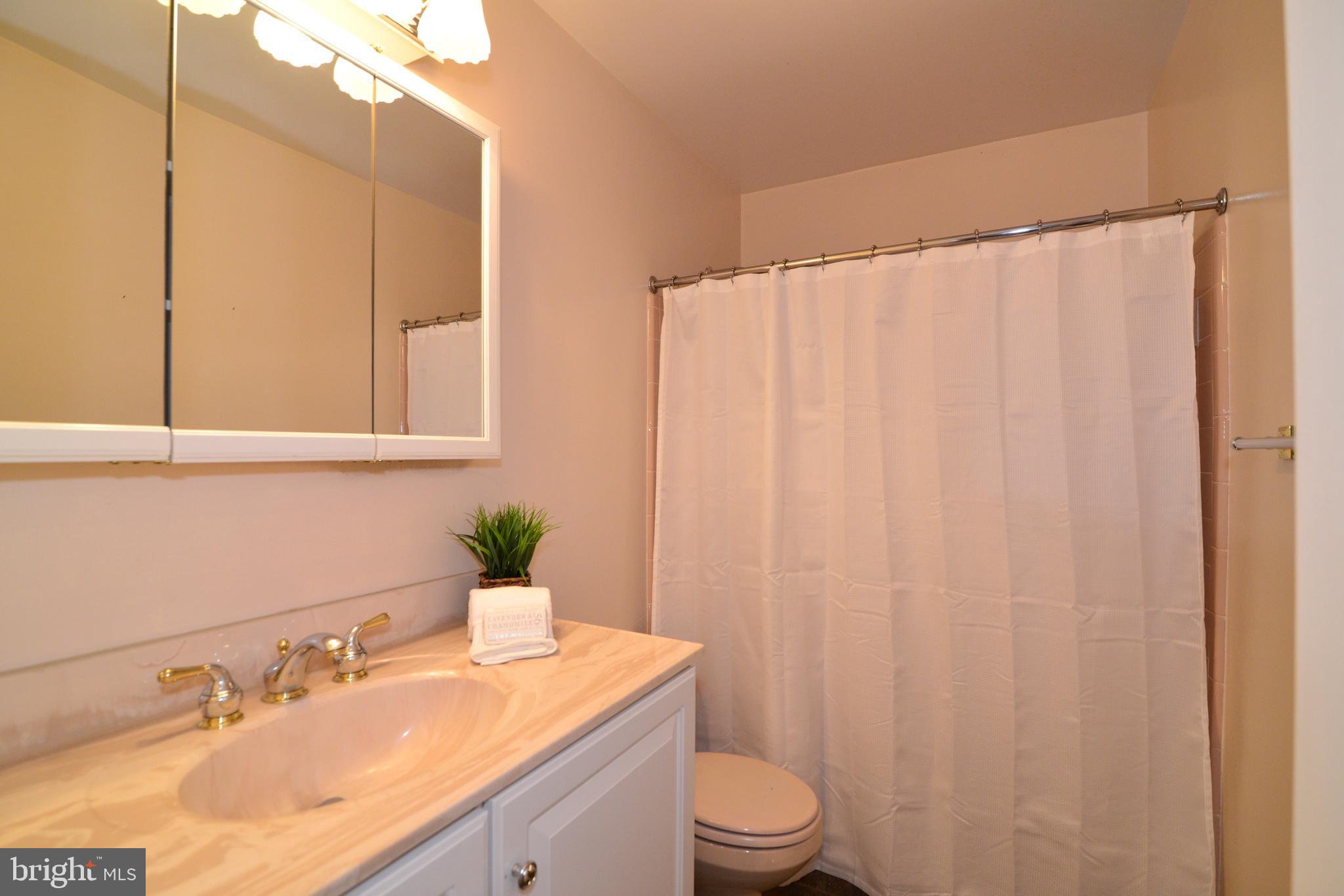 1700 Besley Road Vienna, VA 22182 - Photo 40 of 53 LL has full bathroom