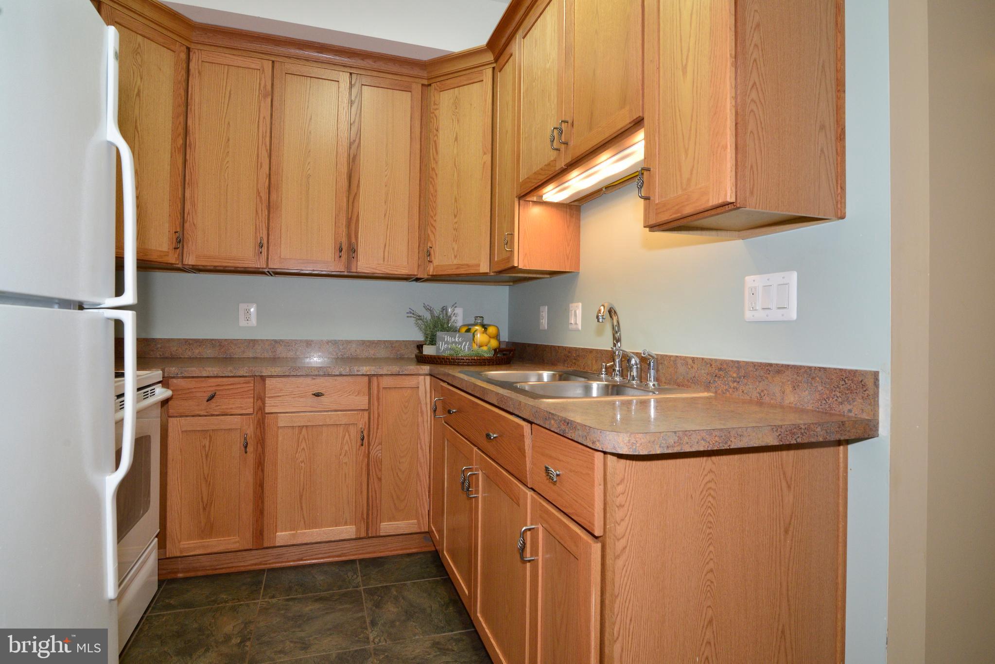 1700 Besley Road Vienna, VA 22182 - Photo 41 of 53 LL has kitchenette perfect for in-laws or nanny