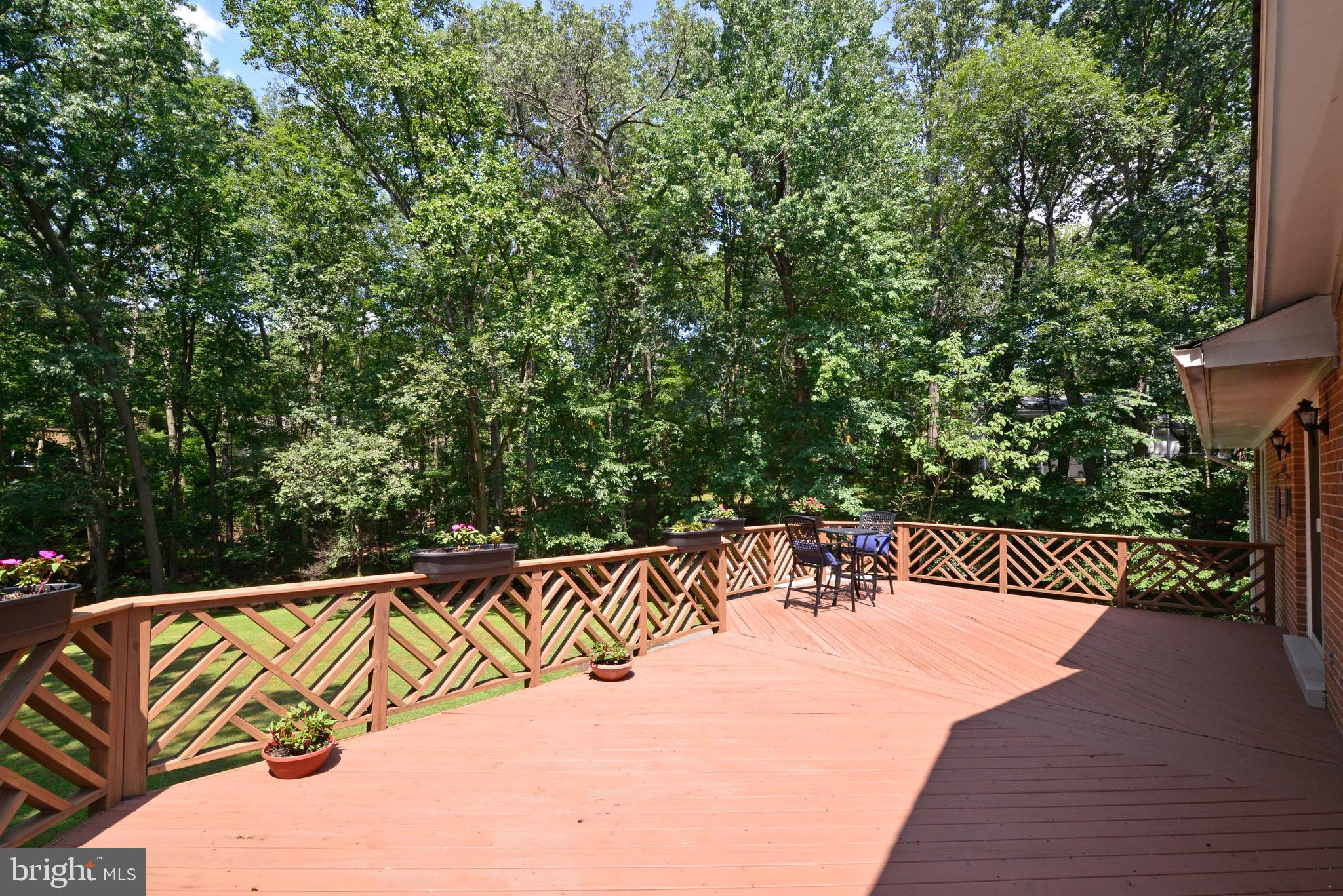 1700 Besley Road Vienna, VA 22182 - Photo 43 of 53 Beautiful Deck overlooking park like setting