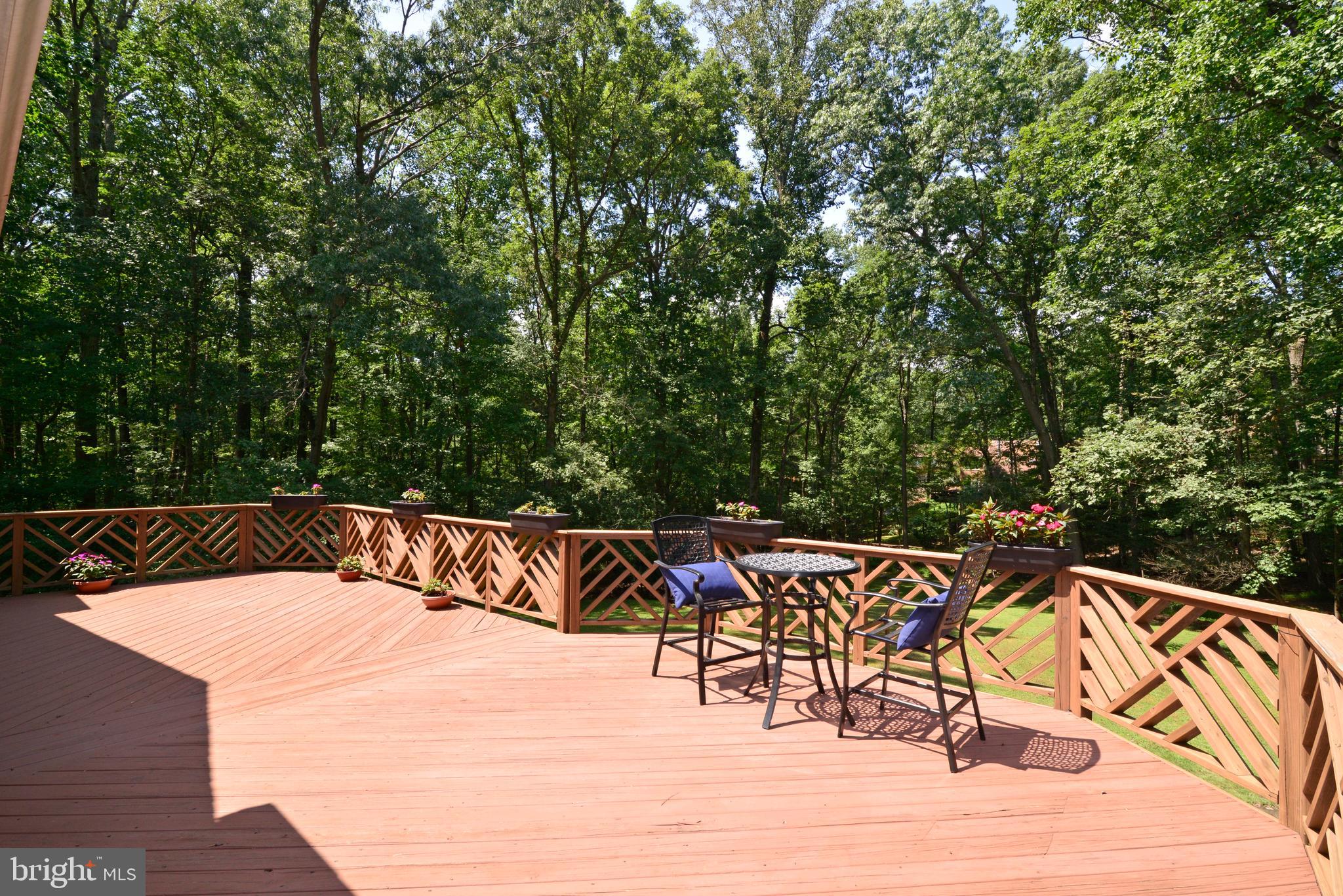 1700 Besley Road Vienna, VA 22182 - Photo 44 of 53 Spacious deck w/ gorgeous private view