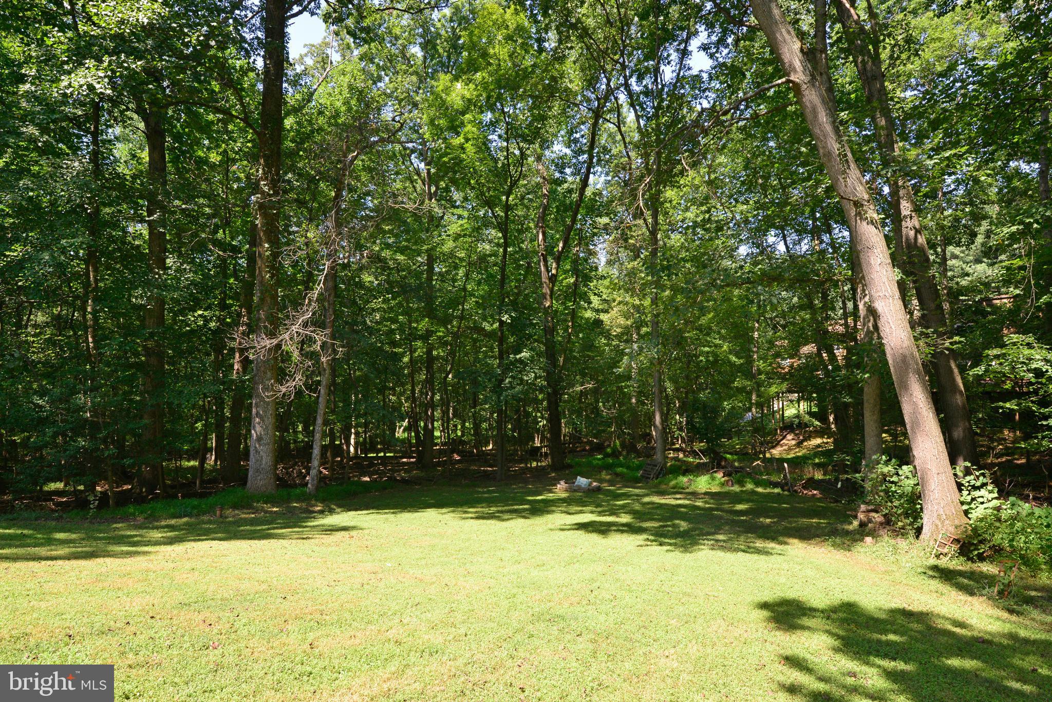 1700 Besley Road Vienna, VA 22182 - Photo 46 of 53 Rear yard very private and pretty