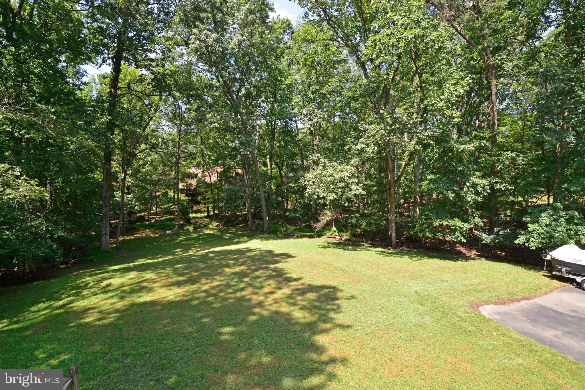 1700 Besley Road Vienna, VA 22182 - Photo 47 of 53 Parklike Setting view of trees and private