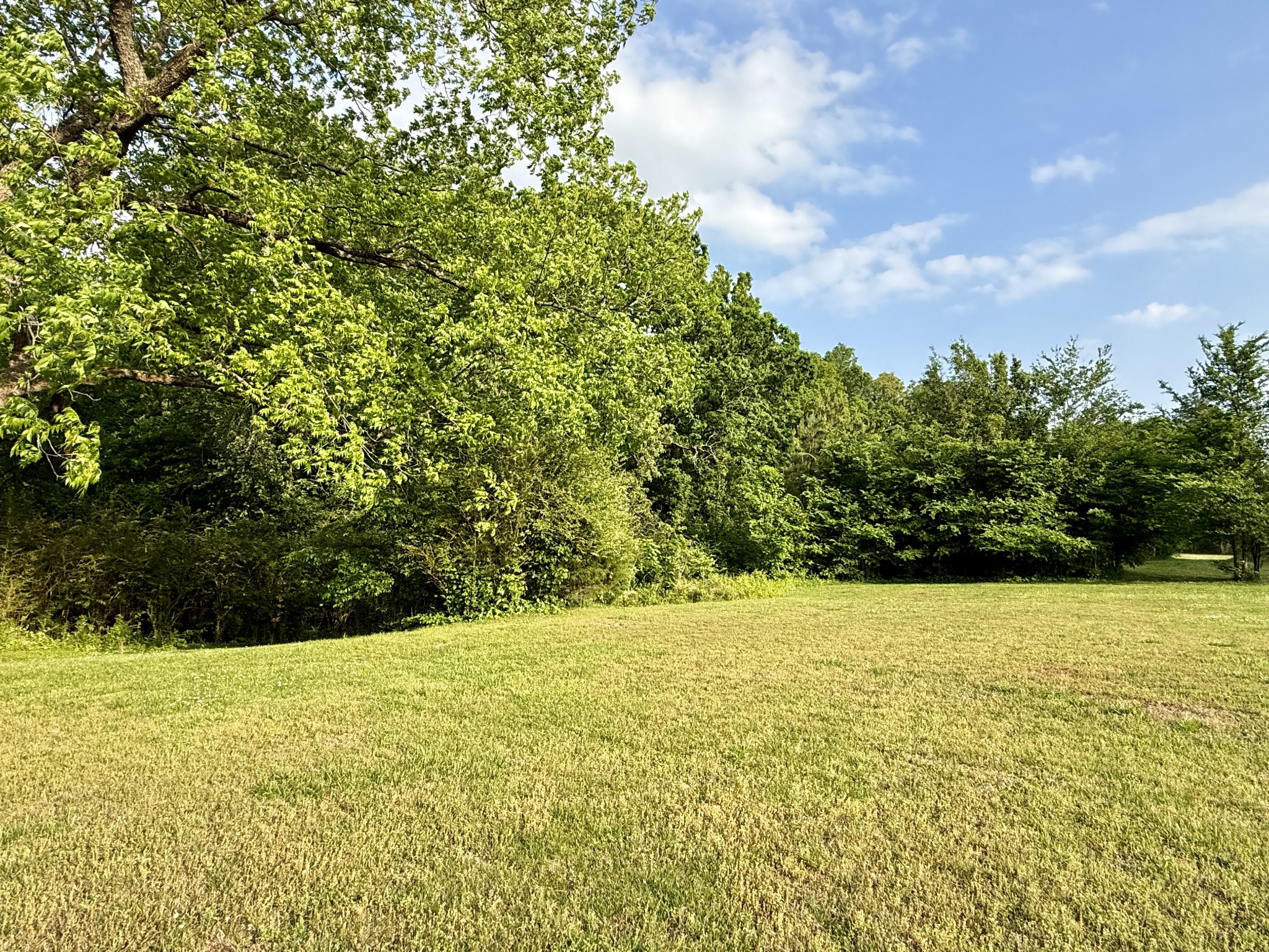 1408 Point Mason Road Big Sandy, TN 38221 - Photo 9 of 35 Gallery Image 9