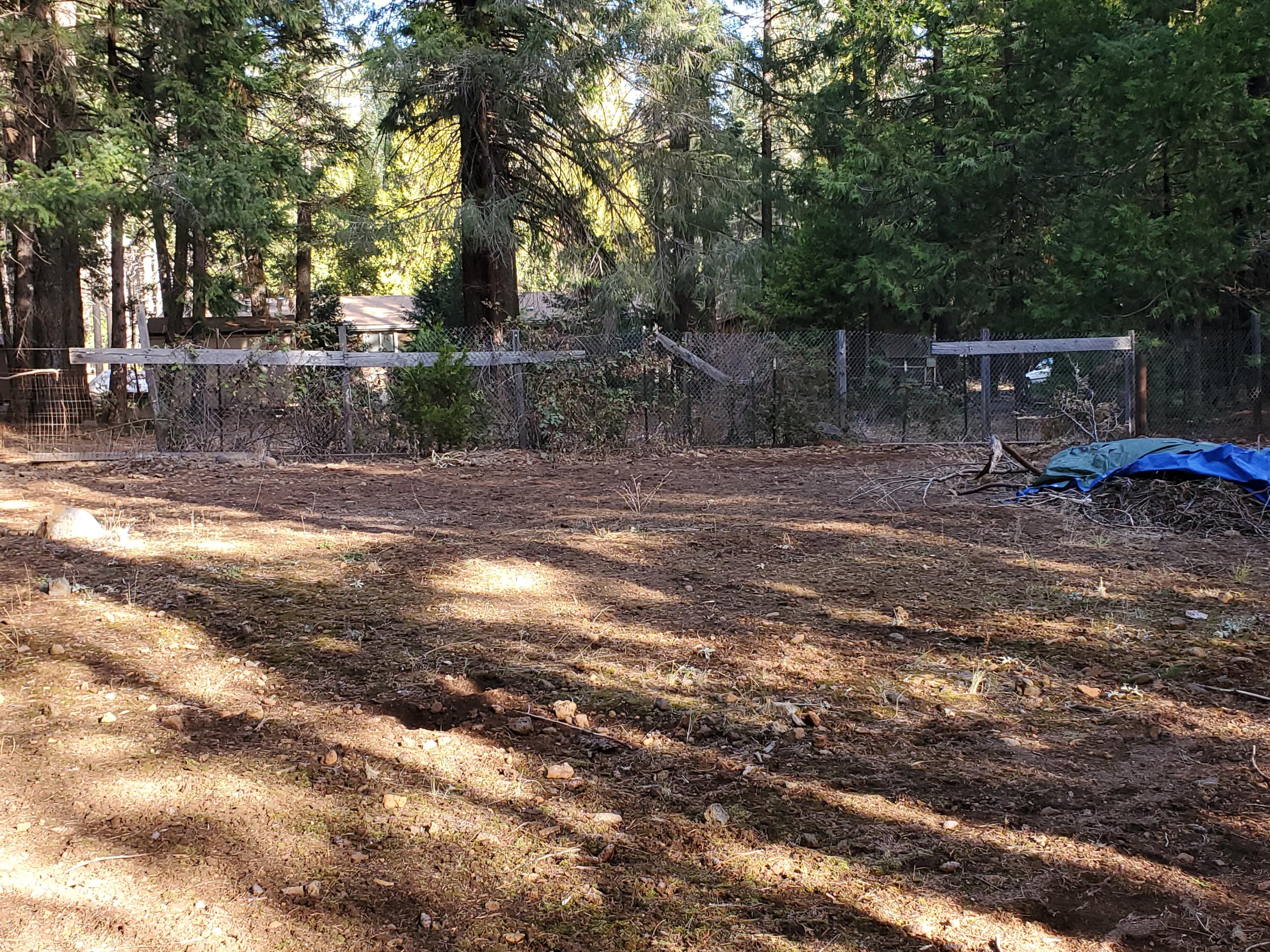34692 Timber Ridge Road Shingletown, CA 96088 - Photo 54 of 54 20201209_101625
