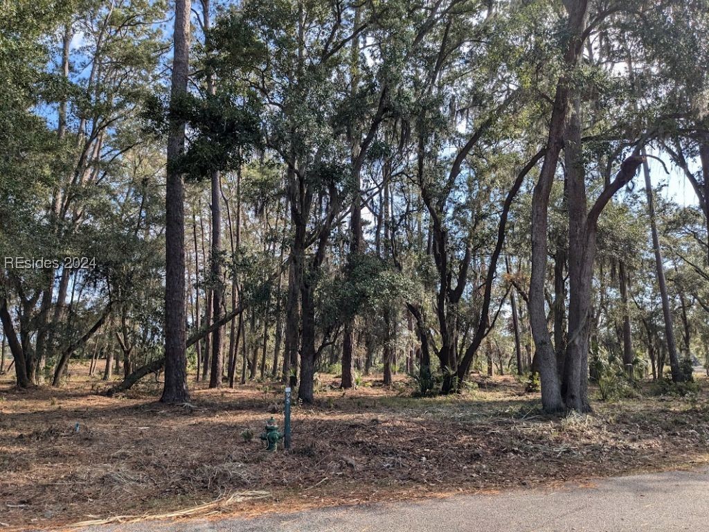 41 River Road Daufuskie Island, SC 29915 - Photo 2 of 4