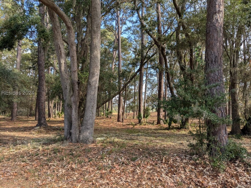 41 River Road Daufuskie Island, SC 29915 - Photo 4 of 4
