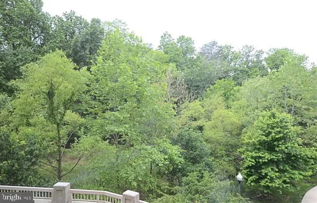 a view of a forest with a houses