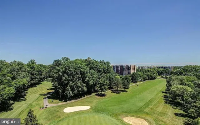 a view of a tennis ground with trees in the background