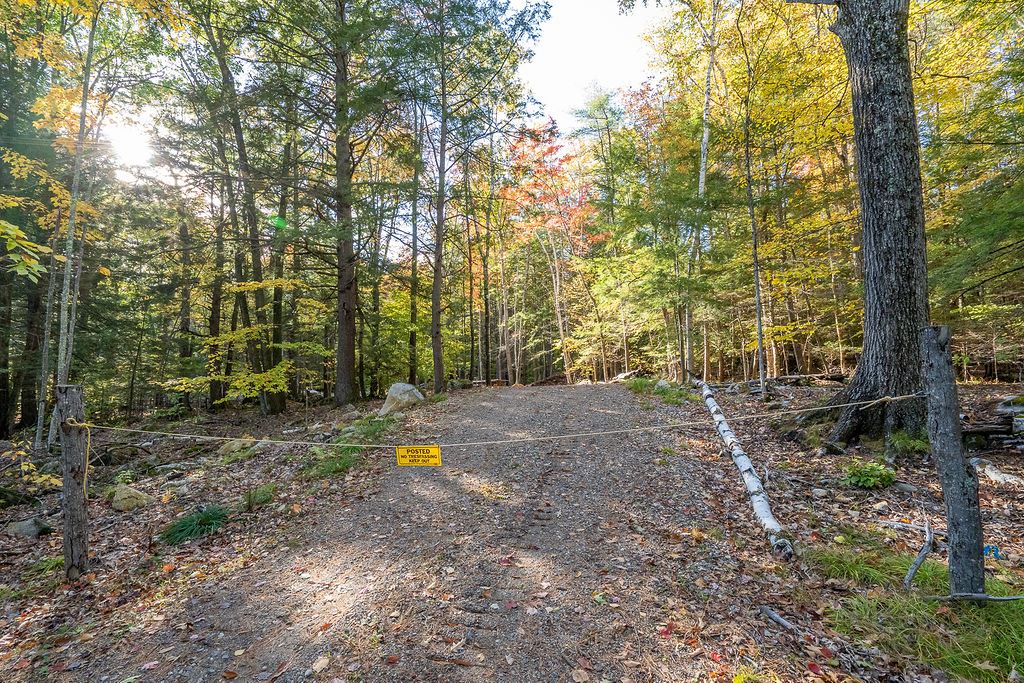 49 Basin Road Tuftonboro, NH 03853 - Photo 14 of 15 Gallery Image 14