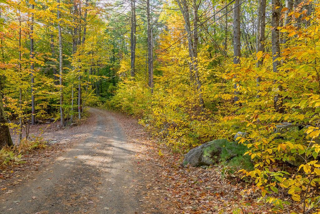 49 Basin Road Tuftonboro, NH 03853 - Photo 15 of 15 Gallery Image 15