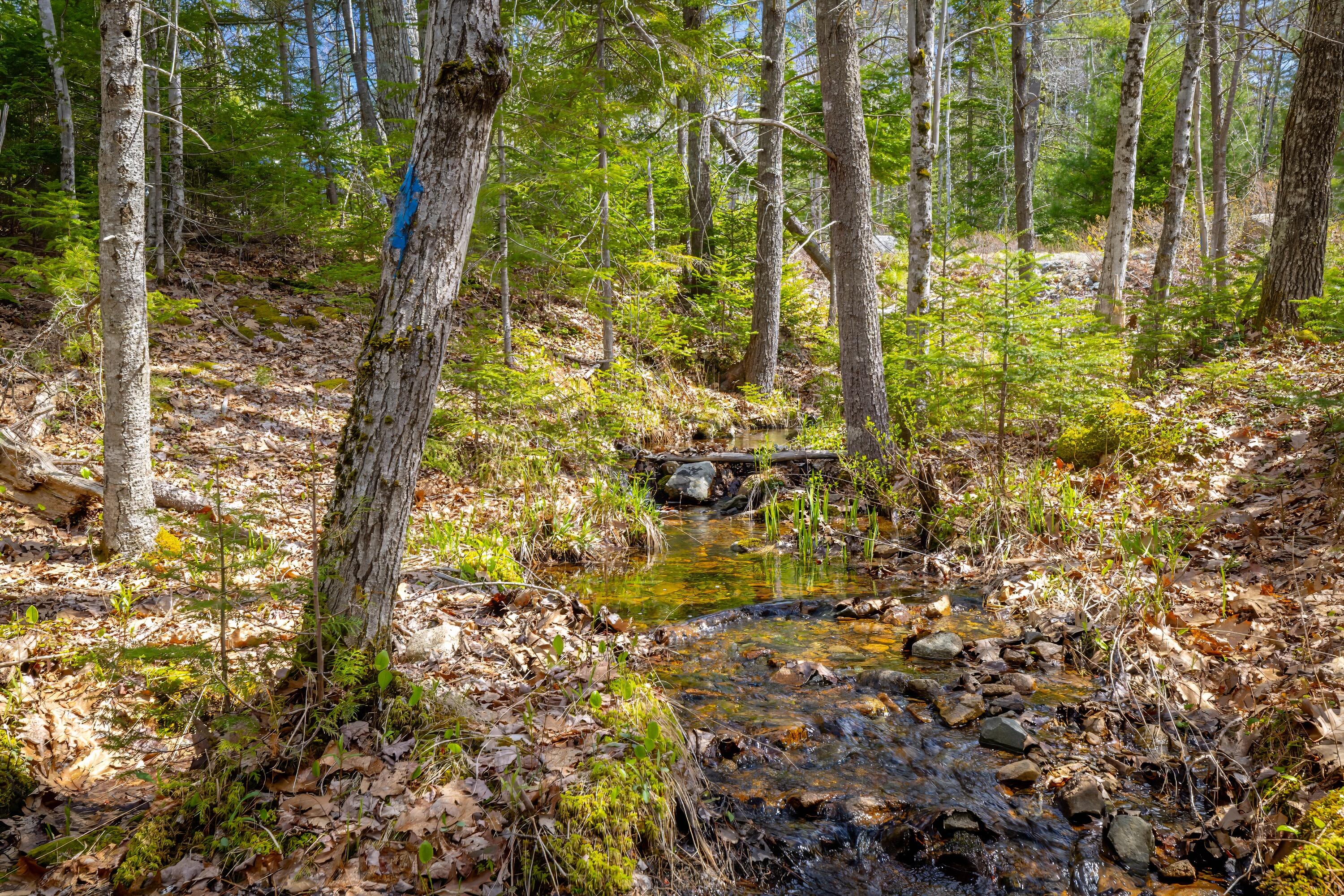 Lot 9 Bluff Road Bar Harbor, ME 04609 - Photo 26 of 33 Copy of 65-Lot 9, Bluff Road-DTP