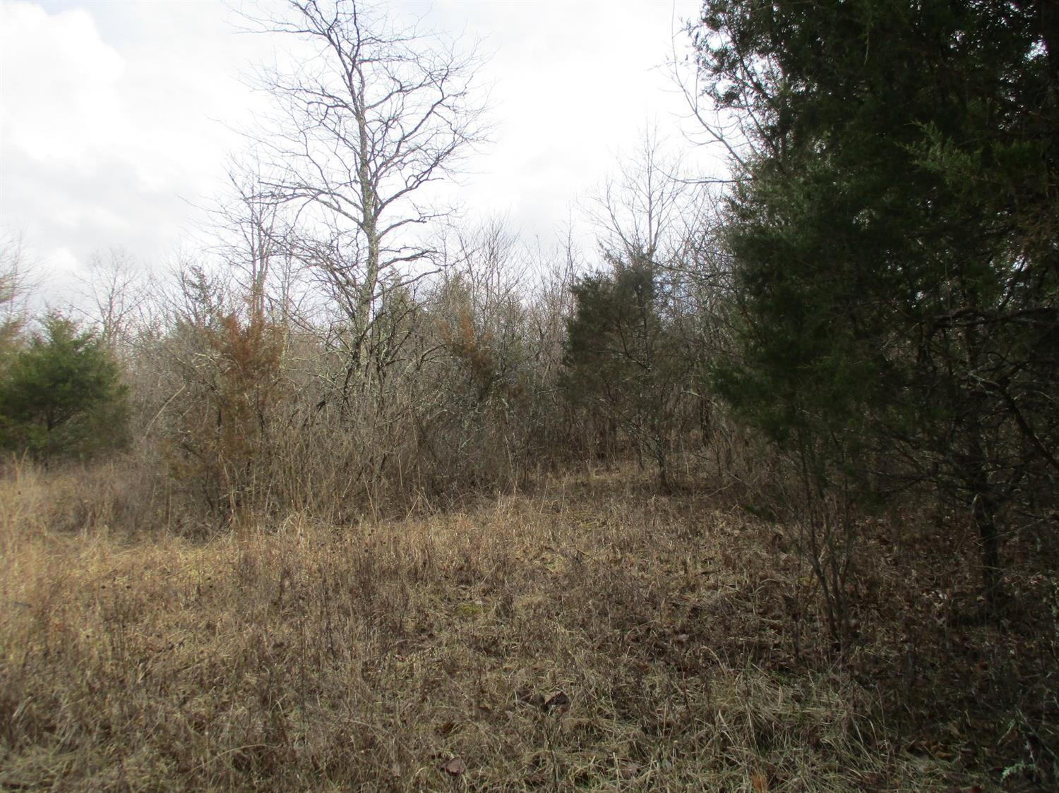 31 Puckett Road Lawrenceburg, KY 40342 - Photo 16 of 18 Photo 16