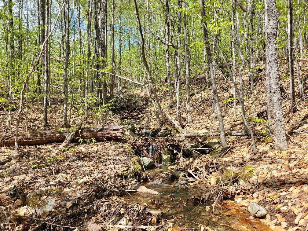Lot 11 Swift River Road Byron, ME 04275 - Photo 55 of 72 photo_e3351621-fecf-4595-8e8f-4328139870