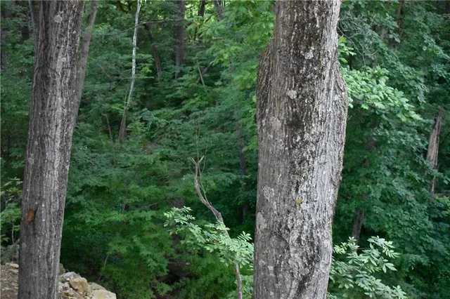 $479,900 | 1302 Melissa Court, Kearney, MO 64060