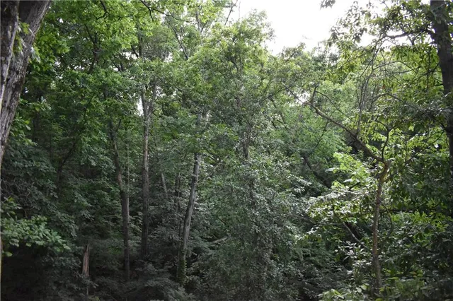 $479,900 | 1302 Melissa Court, Kearney, MO 64060