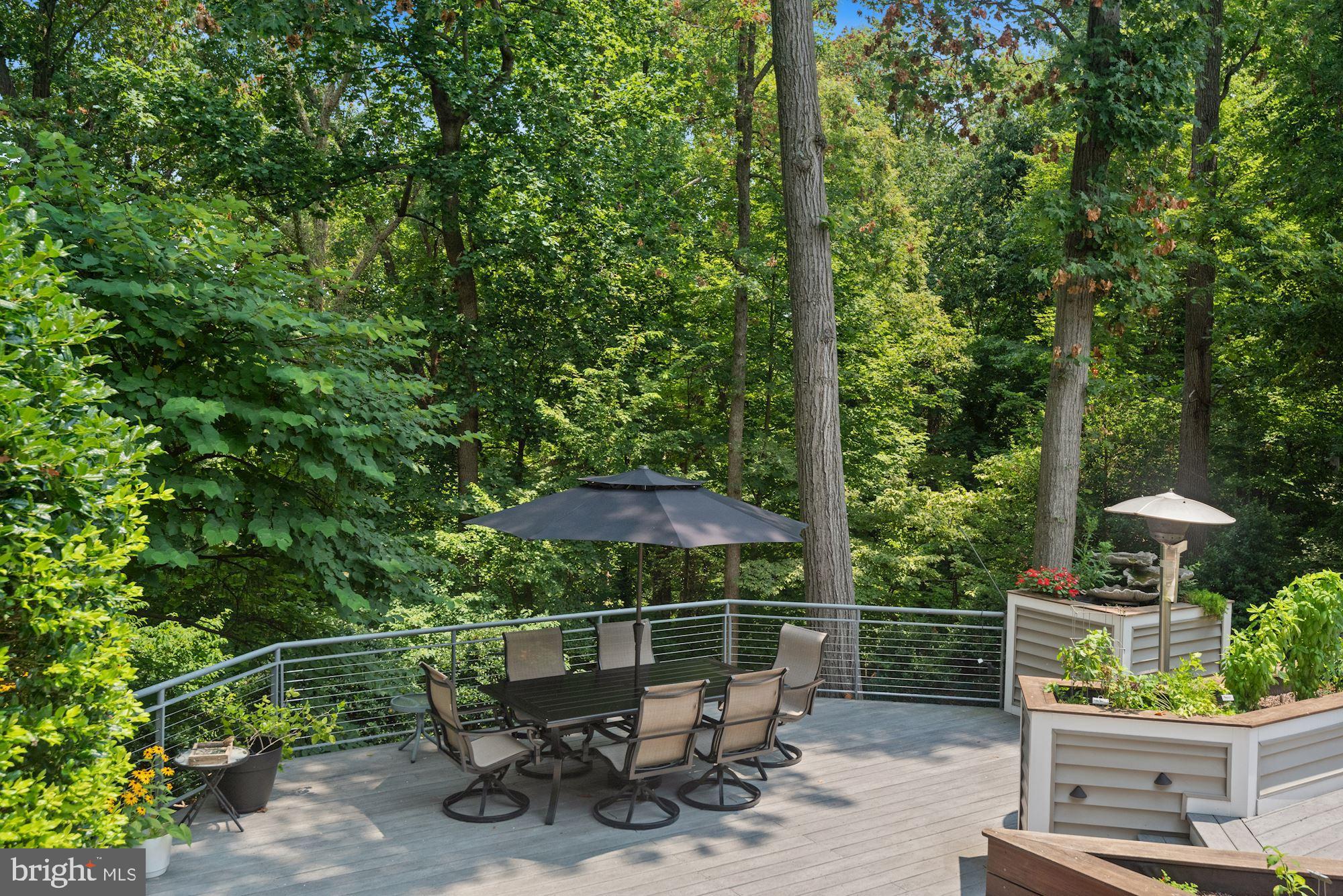10227 Big Rock Road Silver Spring, MD 20901 - Photo 48 of 57