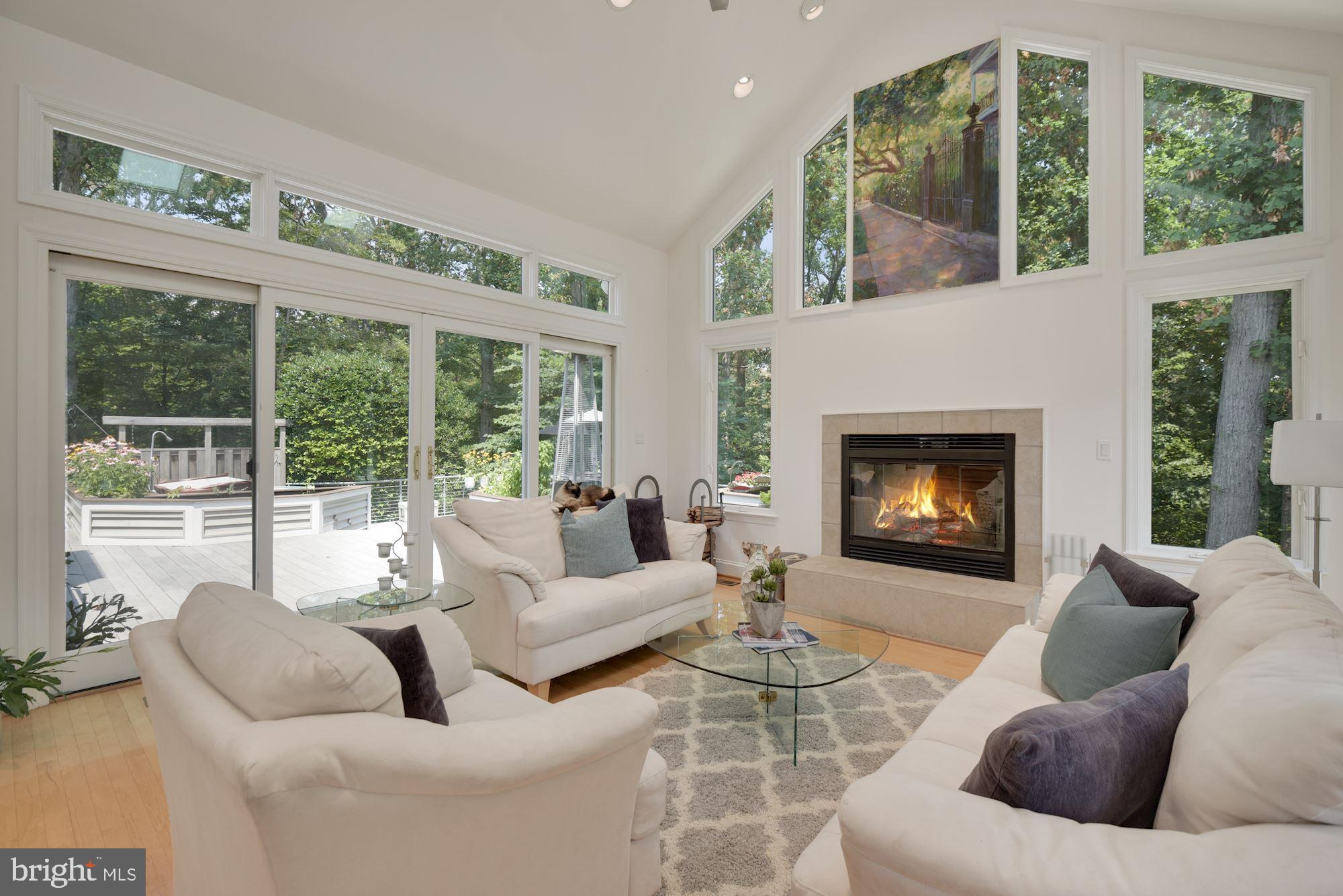 10227 Big Rock Road Silver Spring, MD 20901 - Photo 7 of 57