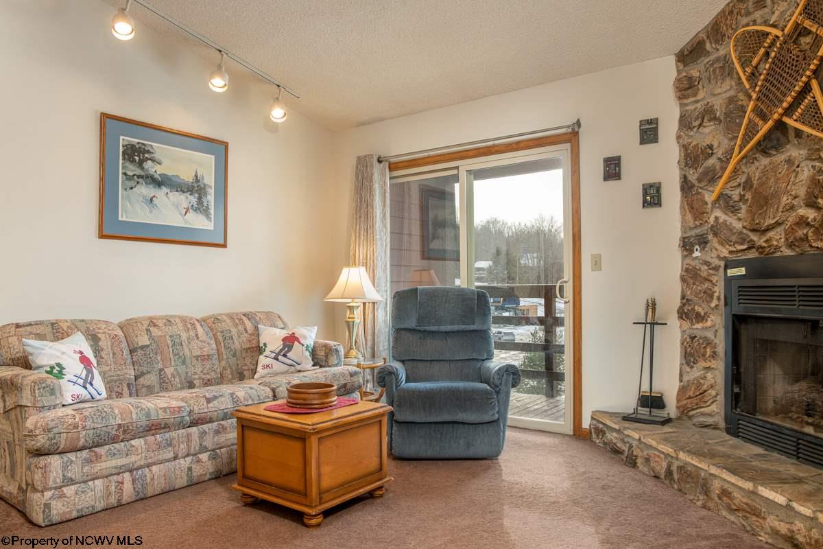 29 Herzwoods Road Davis, WV 26260 - Photo 3 of 11 Gallery Image 3