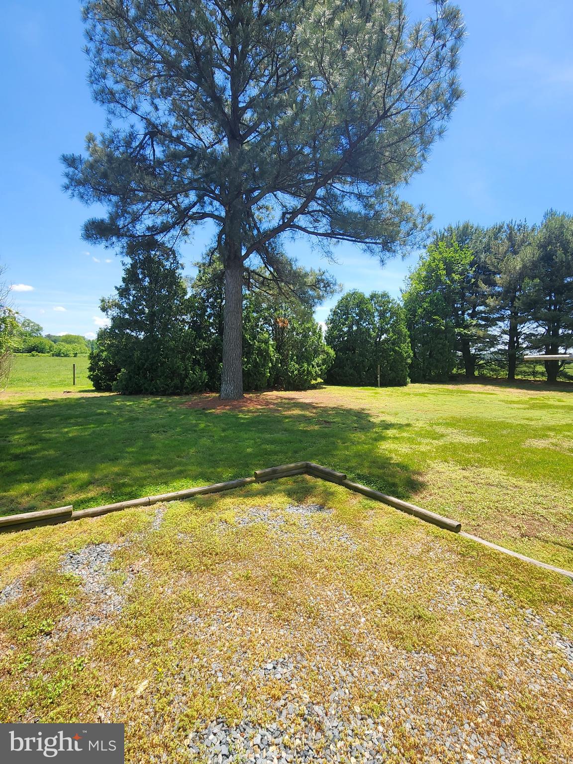 6614 Reliance Road Federalsburg, MD 21632 - Photo 9 of 10 Gallery Image 9