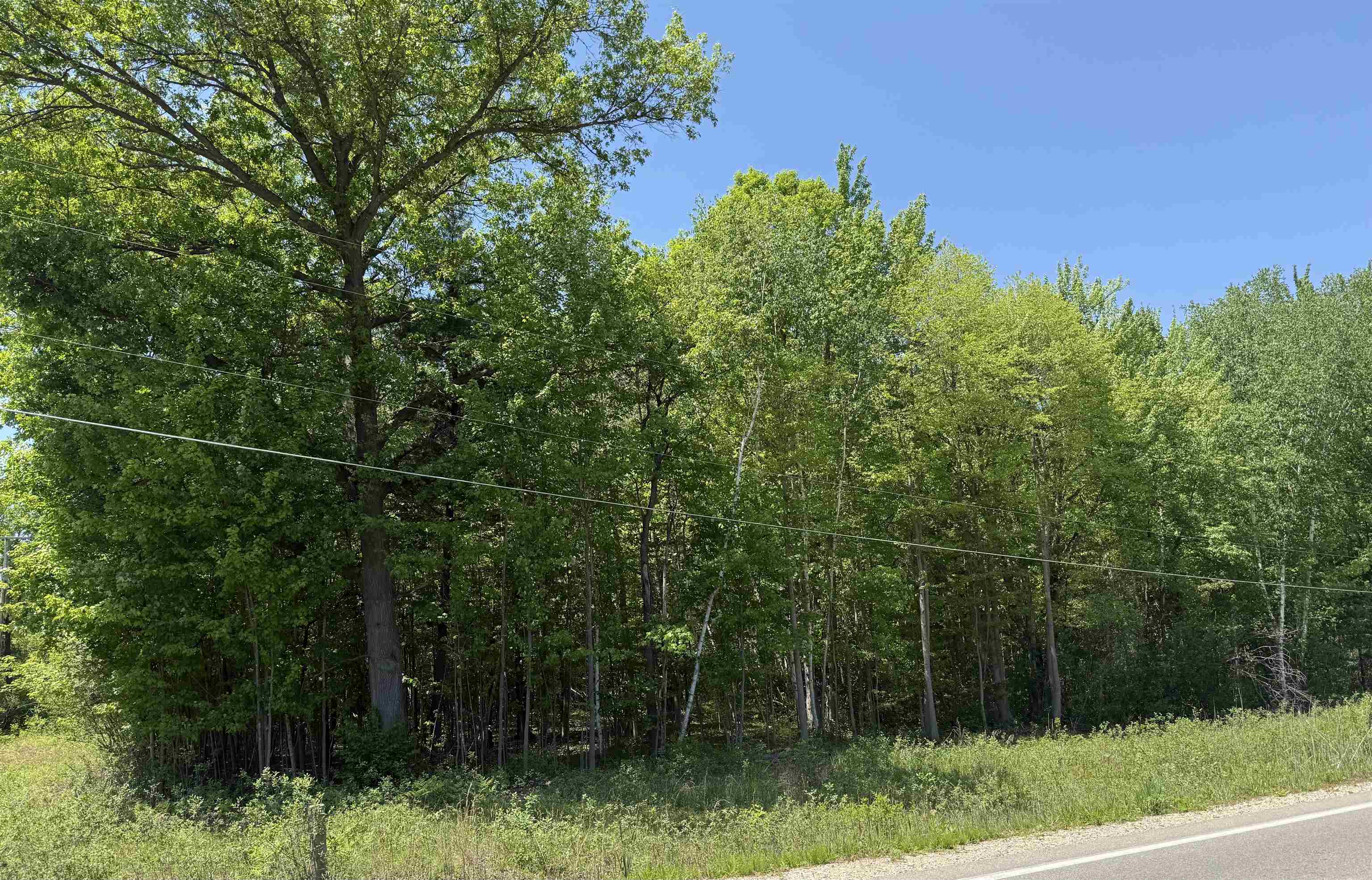 Eight South 8 Mile Road Midland, MI 48640 - Photo 2 of 3