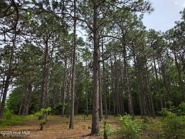 $26,000 | 0 Patton Street, Hamlet, NC 28345